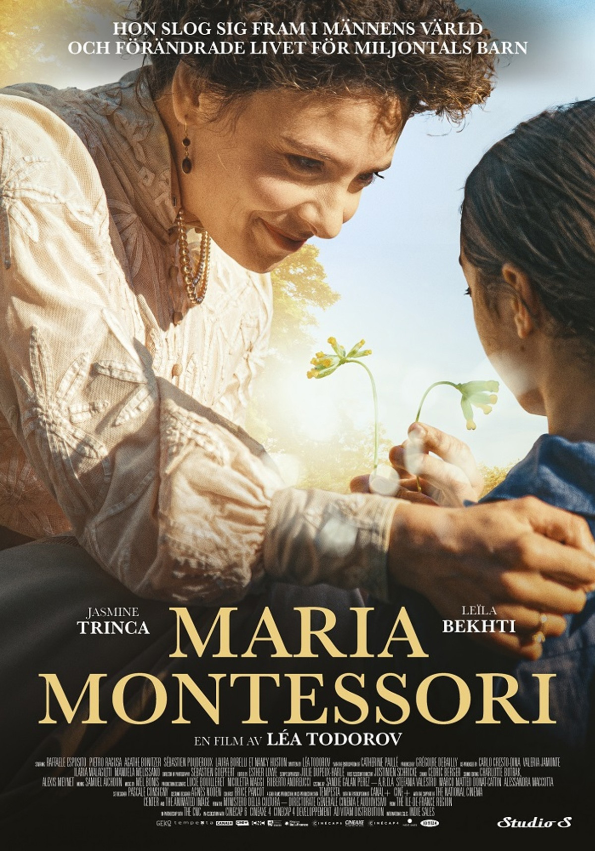 large_maria_montessori